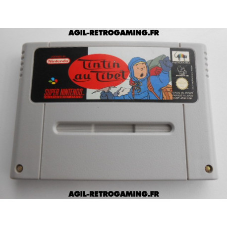 Tintin au Tibet Super NES