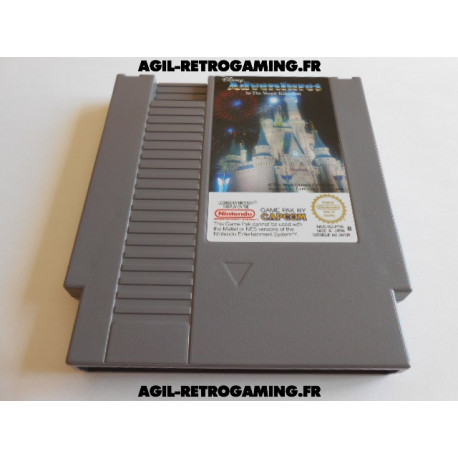 Adventures In The Magic Kingdom