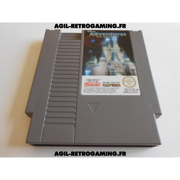 Adventures In The Magic Kingdom